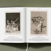 Goya. The Complete Prints