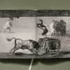 Goya. The Complete Prints