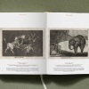 Goya. The Complete Prints