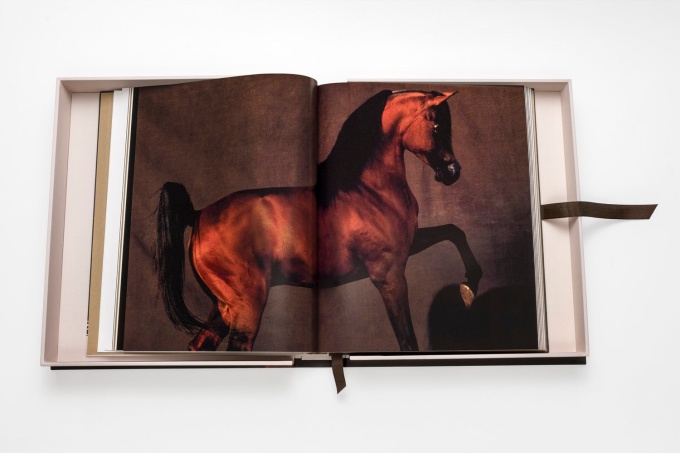 horses-from-saudi-arabia-assouline10 Horses from Saudi Arabia