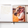 horses-from-saudi-arabia-assouline13 Horses from Saudi Arabia