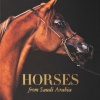 horses-from-saudi-arabia-assouline2 Horses from Saudi Arabia