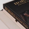 horses-from-saudi-arabia-assouline5 Horses from Saudi Arabia