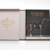 horses-from-saudi-arabia-assouline8 Horses from Saudi Arabia