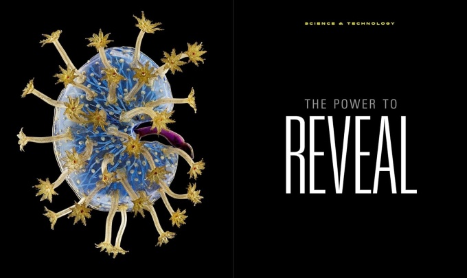 The Photographs - Iconic Images from National Geographics