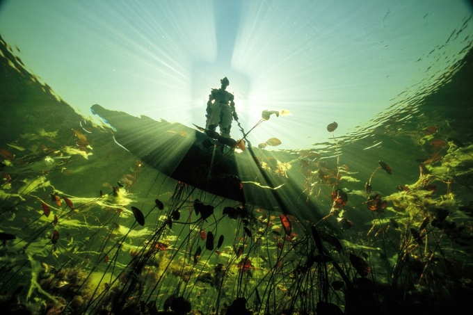 The Photographs - Iconic Images from National Geographics