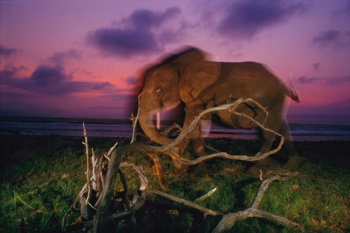 The Photographs - Iconic Images from National Geographics