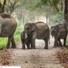 india-unesco-world-heritage-sites2 India: UNESCO World Heritage Sites