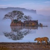 india-unesco-world-heritage-sites3 India: UNESCO World Heritage Sites