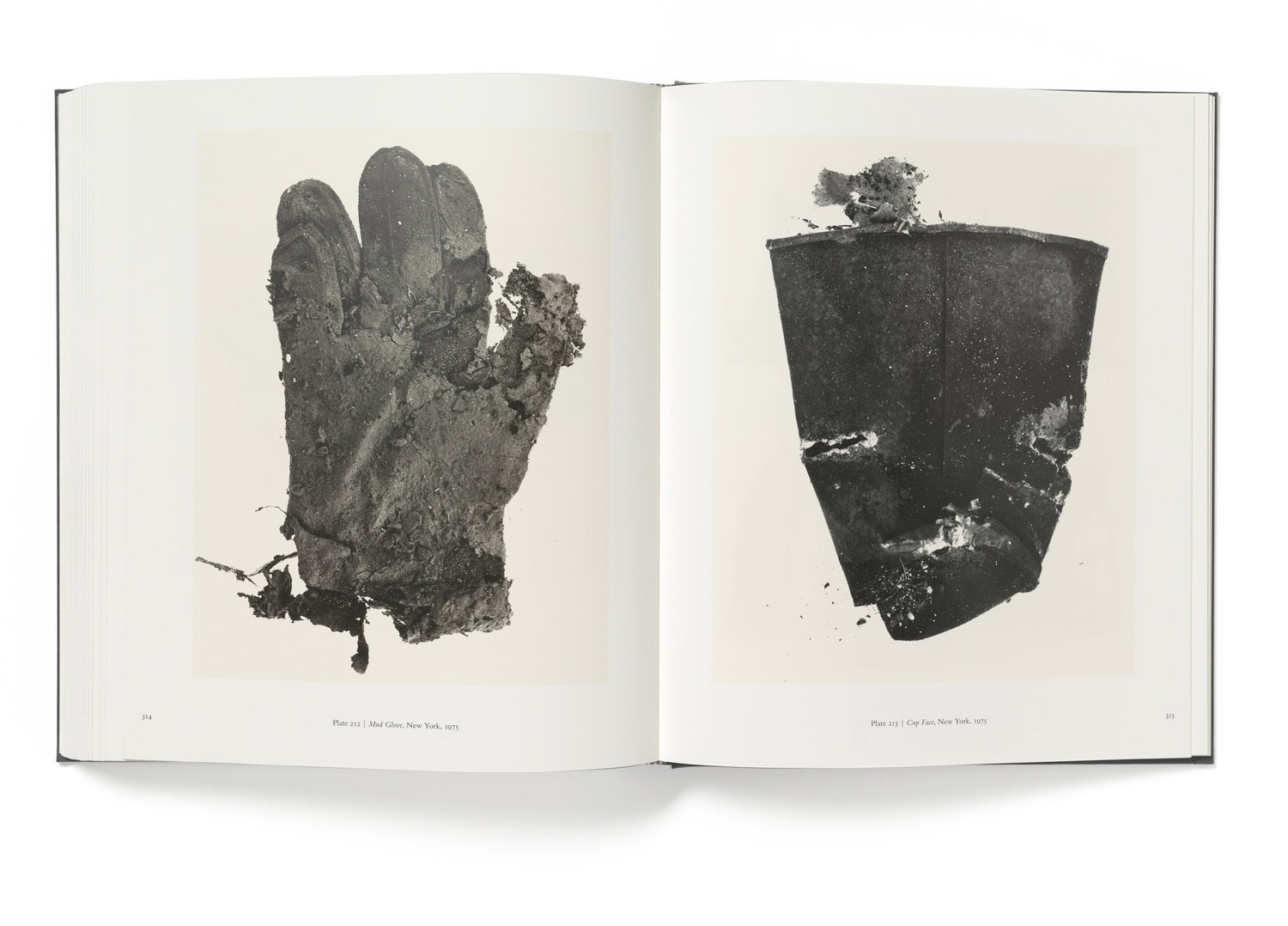 Irving Penn: Centennial | Coffee Table Book