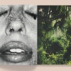 Kate Bellm: La Selva
