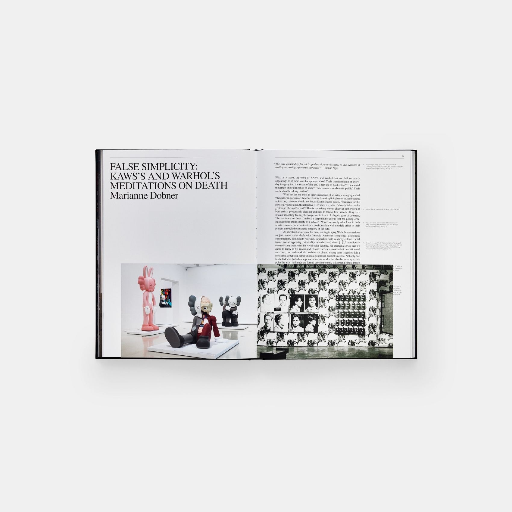 KAWS + Warhol | Coffee Table Book