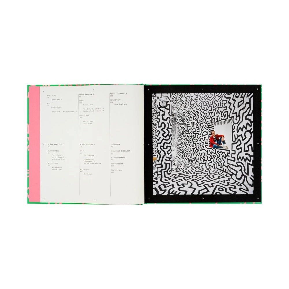 Keith Haring: Art Is for Everybody | Buy Art Books?