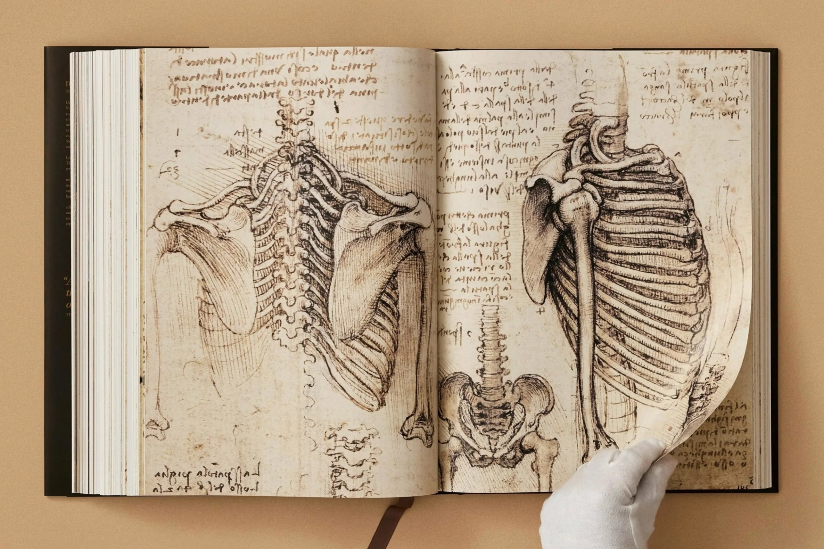 Leonardo. The Complete Paintings and Drawings | TASCHEN