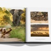 londolozi-the-safari-that-changed-everything10 Londolozi: The Safari that Changed Everything