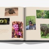 londolozi-the-safari-that-changed-everything11 Londolozi: The Safari that Changed Everything