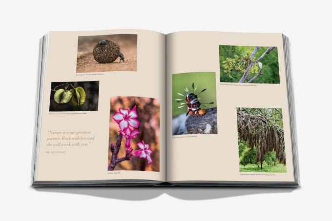 londolozi-the-safari-that-changed-everything11 Londolozi: The Safari that Changed Everything