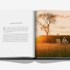 londolozi-the-safari-that-changed-everything14 Londolozi: The Safari that Changed Everything