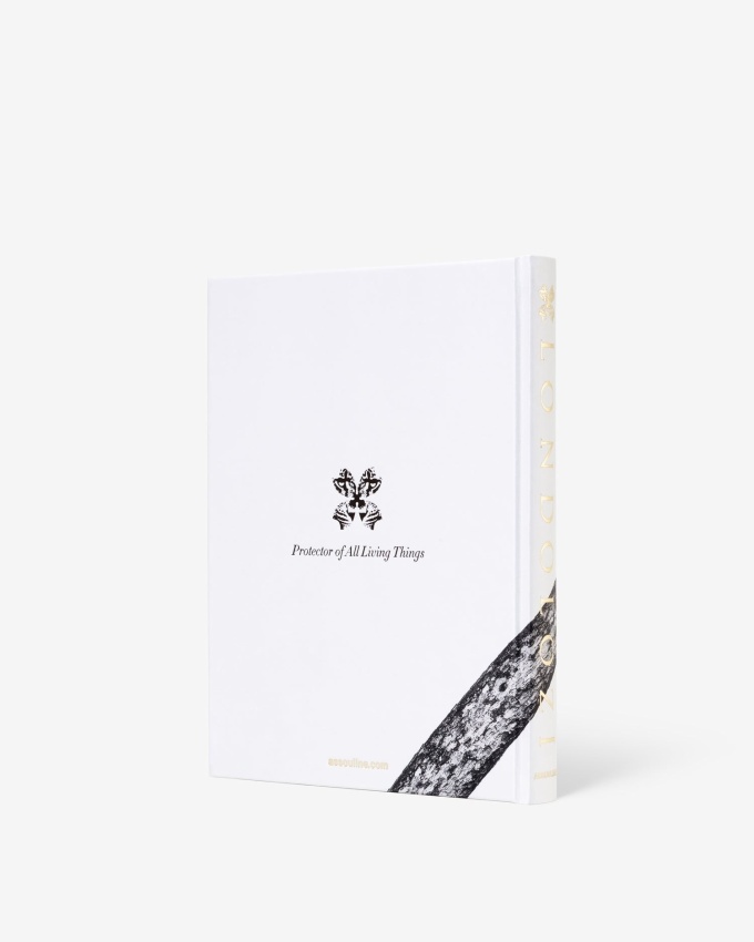 Londolozi: The Safari that Changed Everything