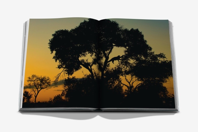 londolozi-the-safari-that-changed-everything3 Londolozi: The Safari that Changed Everything