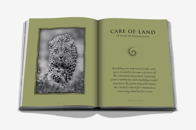 londolozi-the-safari-that-changed-everything7 Londolozi: The Safari that Changed Everything