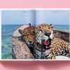 national-geographic-around-the-world-in-125-years16 National Geographic. Around the World in 125 Years