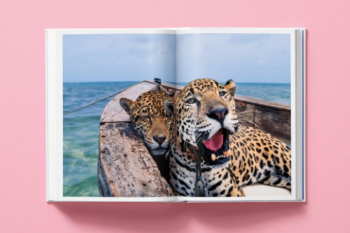 national-geographic-around-the-world-in-125-years16 National Geographic. Around the World in 125 Years