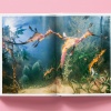 national-geographic-around-the-world-in-125-years47 National Geographic. Around the World in 125 Years