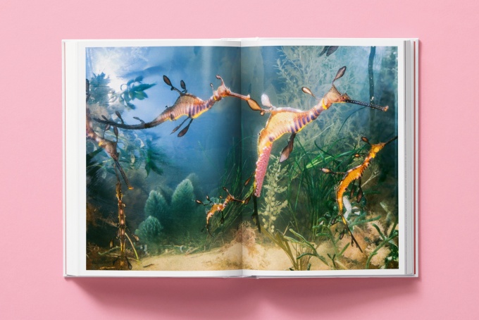 national-geographic-around-the-world-in-125-years47 National Geographic. Around the World in 125 Years