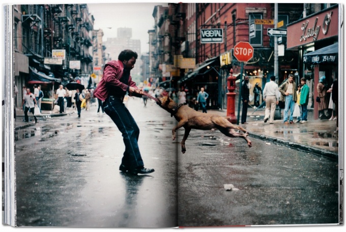 New York. Portrait of a City