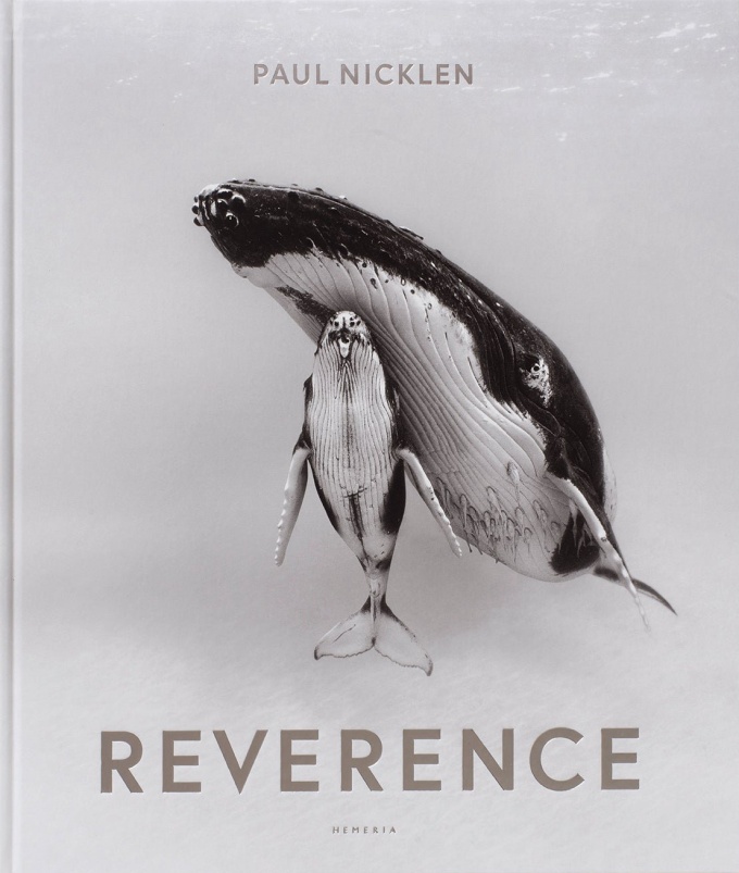 paul-nick-reverence Paul Nicklen: Reverence