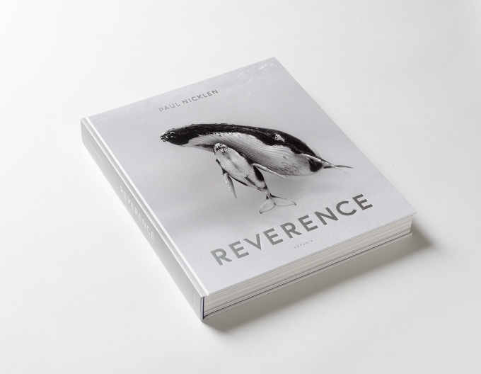 paul-nick-reverence1 Paul Nicklen: Reverence