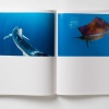 paul-nick-reverence11 Paul Nicklen: Reverence