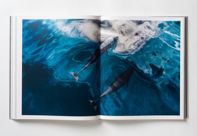 paul-nick-reverence14 Paul Nicklen: Reverence