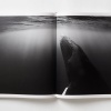 paul-nick-reverence15 Paul Nicklen: Reverence