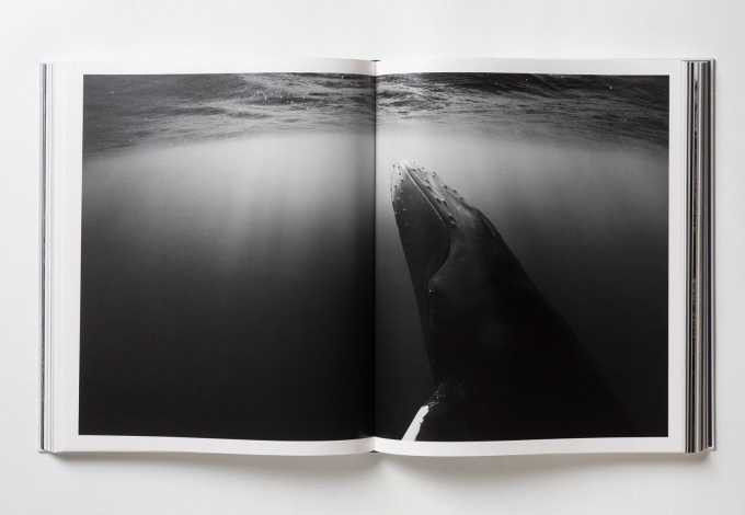 paul-nick-reverence15 Paul Nicklen: Reverence