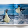 paul-nick-reverence16 Paul Nicklen: Reverence