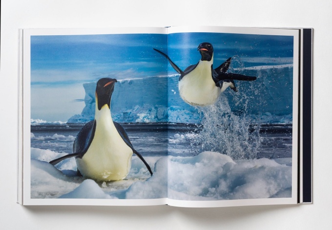 paul-nick-reverence16 Paul Nicklen: Reverence