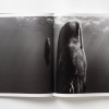 paul-nick-reverence18 Paul Nicklen: Reverence