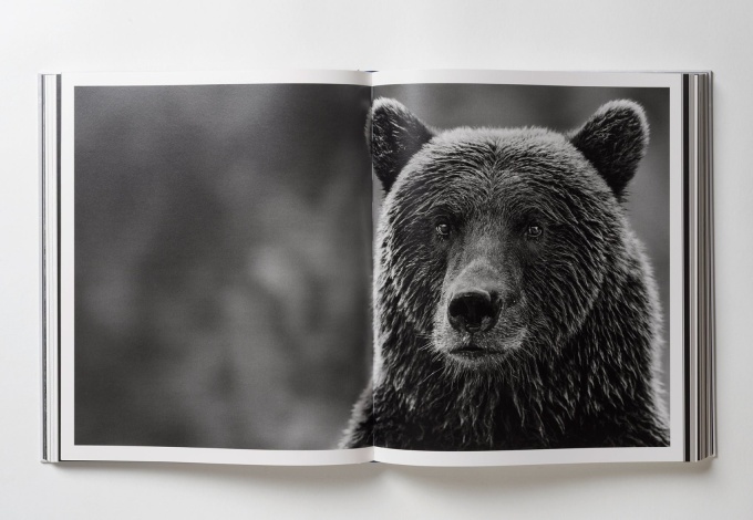 paul-nick-reverence19 Paul Nicklen: Reverence