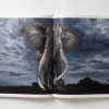 paul-nick-reverence20 Paul Nicklen: Reverence