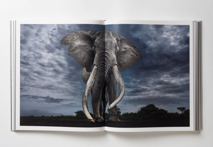 paul-nick-reverence20 Paul Nicklen: Reverence