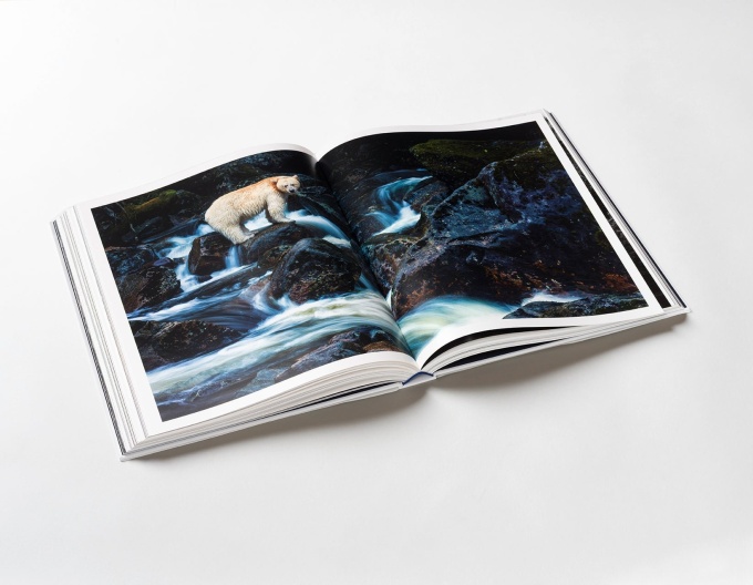paul-nick-reverence7 Paul Nicklen: Reverence
