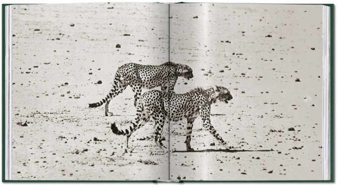 peter-beard-the-end-of-the-game19 Peter Beard. The End of the Game