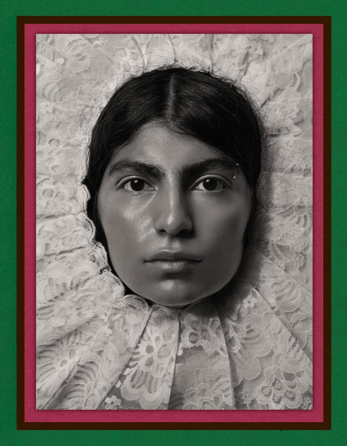 Pieter Henket: Birds of Mexico City