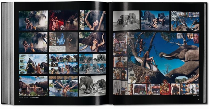 Pirelli: The Calendar - 50 Years and More
