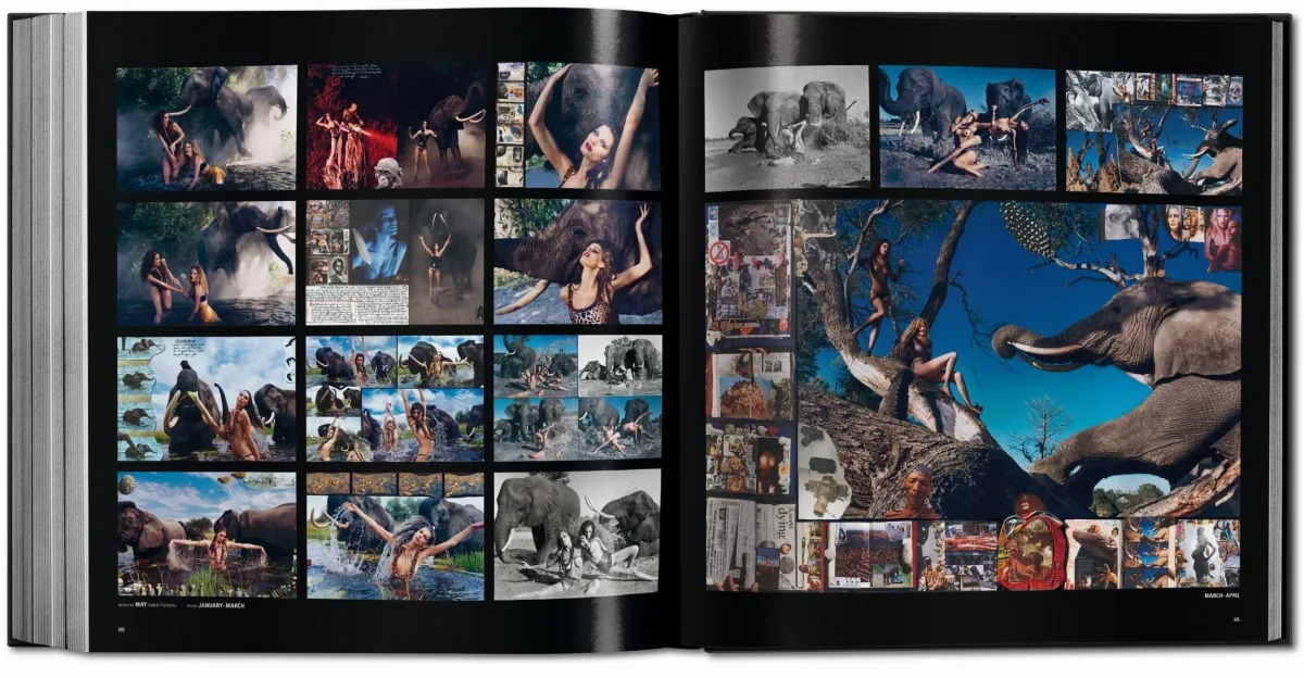 pirelli-the-calendar-50-years-