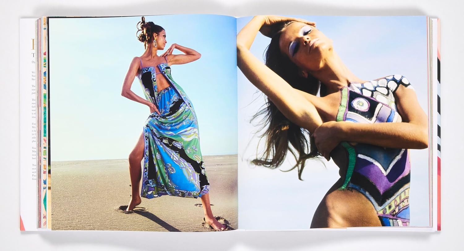 Buy Pucci: The Art of Fashion | Luxury Fashion Books?