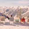 Gray Malin: Snow