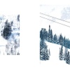 Gray Malin: Snow